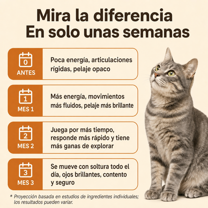 Gotas Diarias de Nutrición Felina